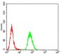 CD168 Antibody